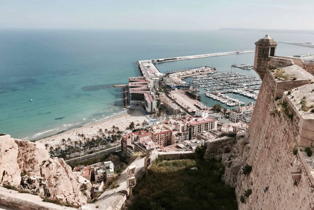 View of harbor in Alicante from a hill, Weed in Alicante