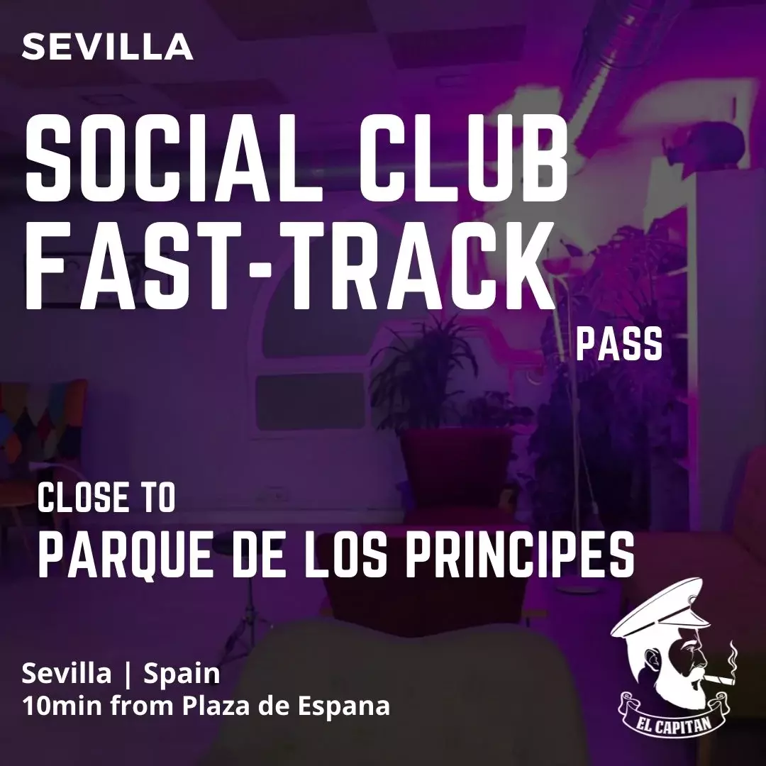 Social Club Sevilla Fast-Track Center